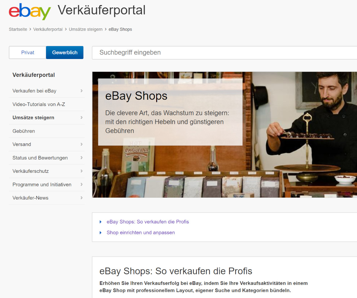 Ebay Professional Shop